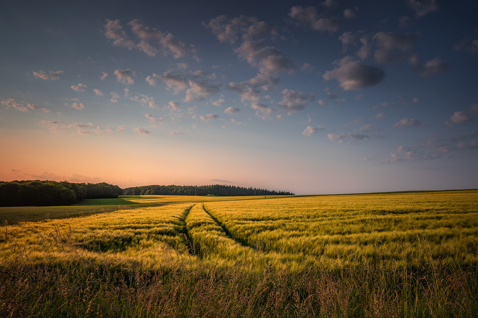 Out in the fields