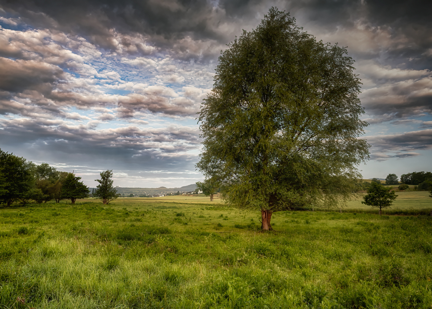 Out in the fields