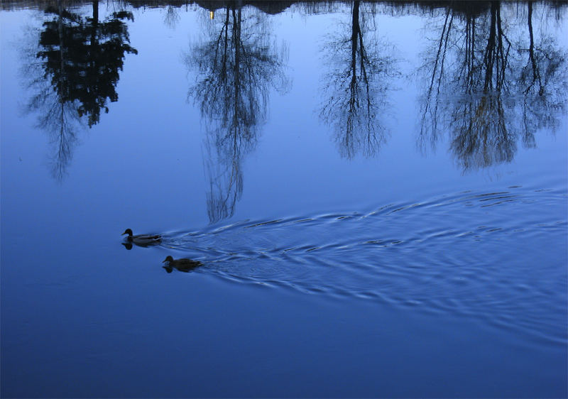 Out into the blue