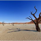 Out of Africa [15] - Dead Vlei