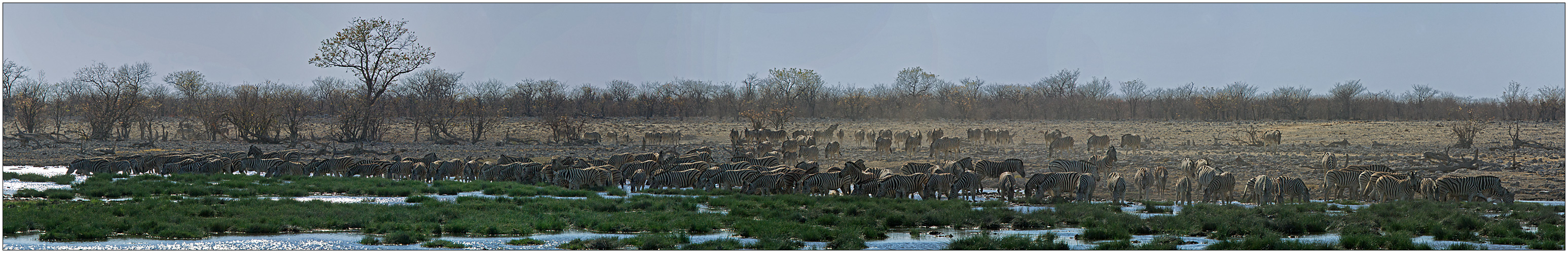 Out of Africa [24] - Am Wasserloch