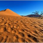 Out of Africa [27] - Namib