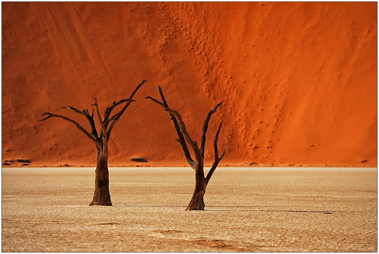 Out of Africa [35] - Dead Vlei