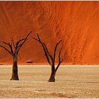 Out of Africa [35] - Dead Vlei