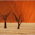 Out of Africa [35] - Dead Vlei