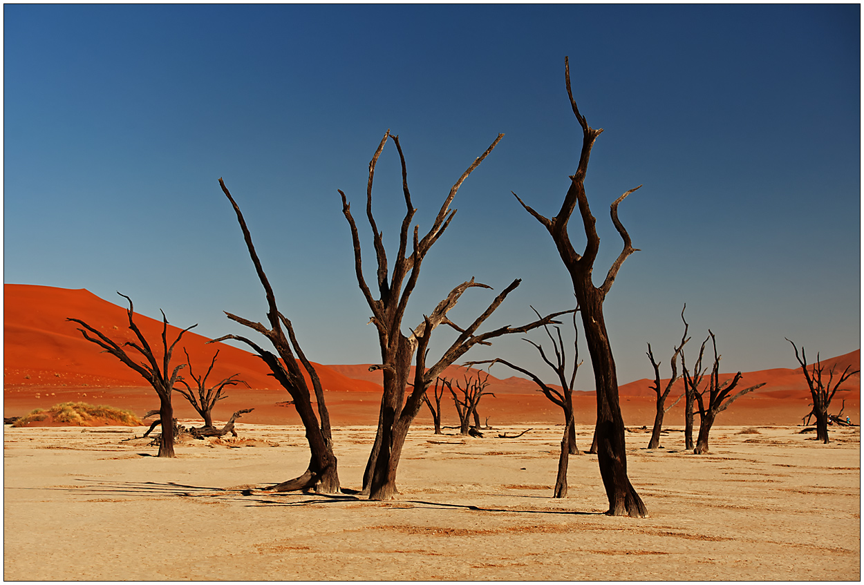 Out of Africa [41] - Dead Vlei