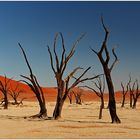 Out of Africa [41] - Dead Vlei
