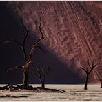 Out of Africa [57] - Dead Vlei