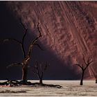 Out of Africa [57] - Dead Vlei