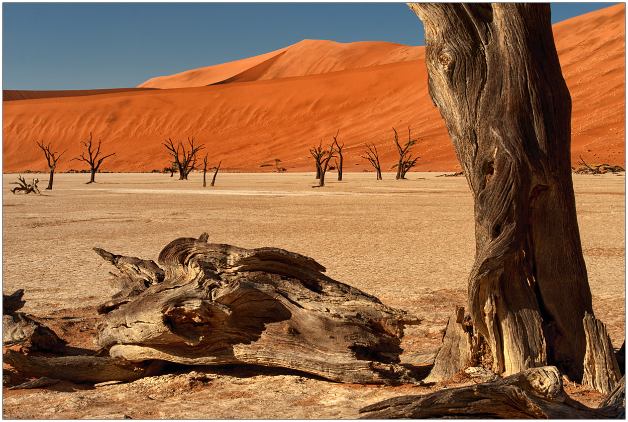 Out of Africa [6] - Dead Vlei