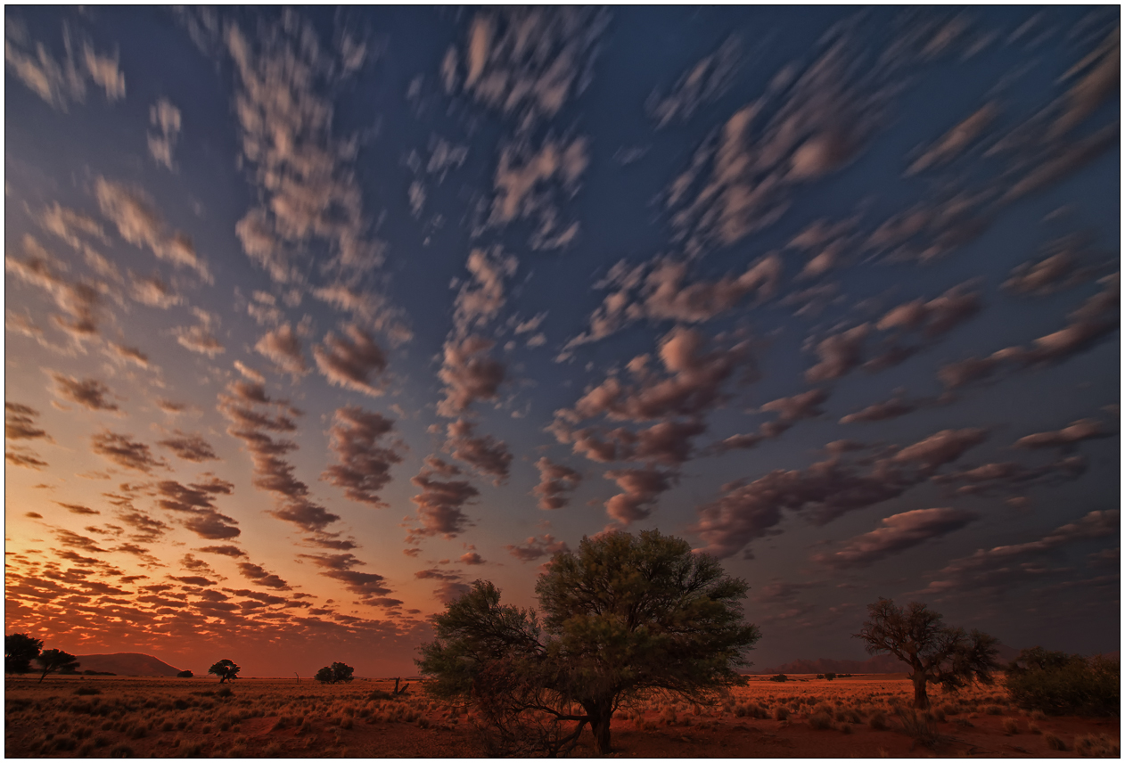 Out of Africa [61] - African Sky