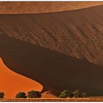 Out of Africa [76] - Namib