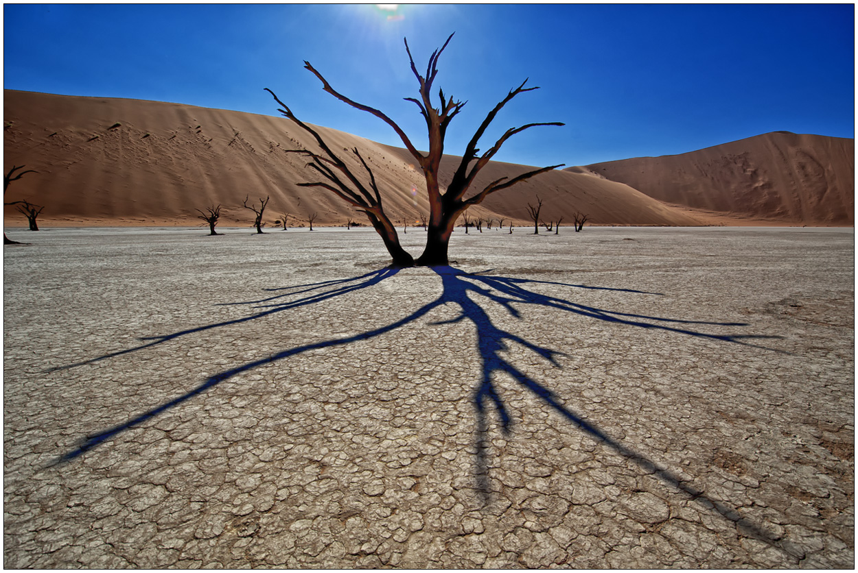 Out of Africa [87] - Dead Vlei