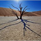 Out of Africa [87] - Dead Vlei