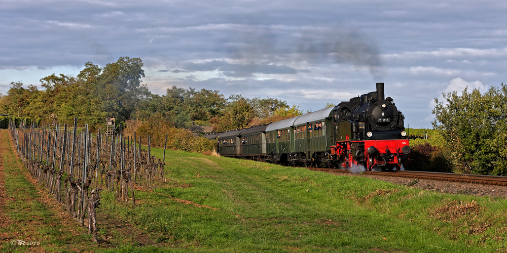 out of Deidesheim