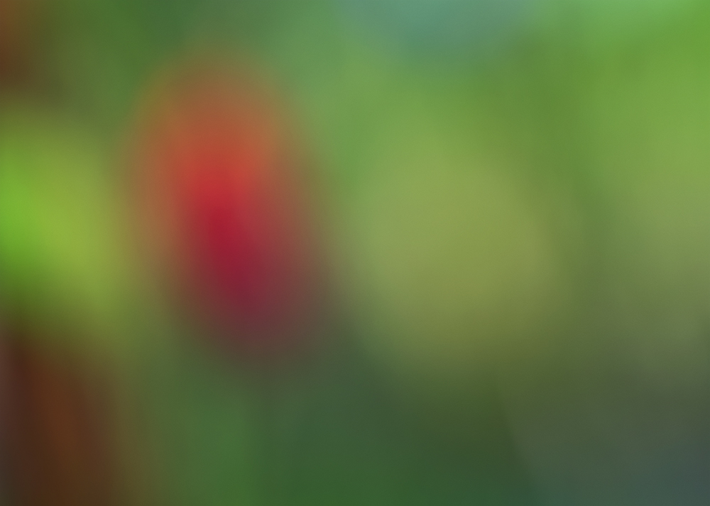 Out-of-Focus mit dem Autofocus