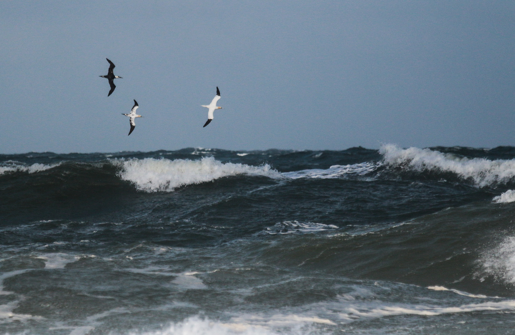 Out of Helgoland