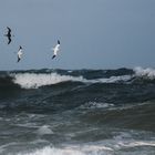 Out of Helgoland