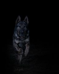 out-of-the-dark