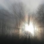 Out of the Fog - a Bright Light, Hope, Change