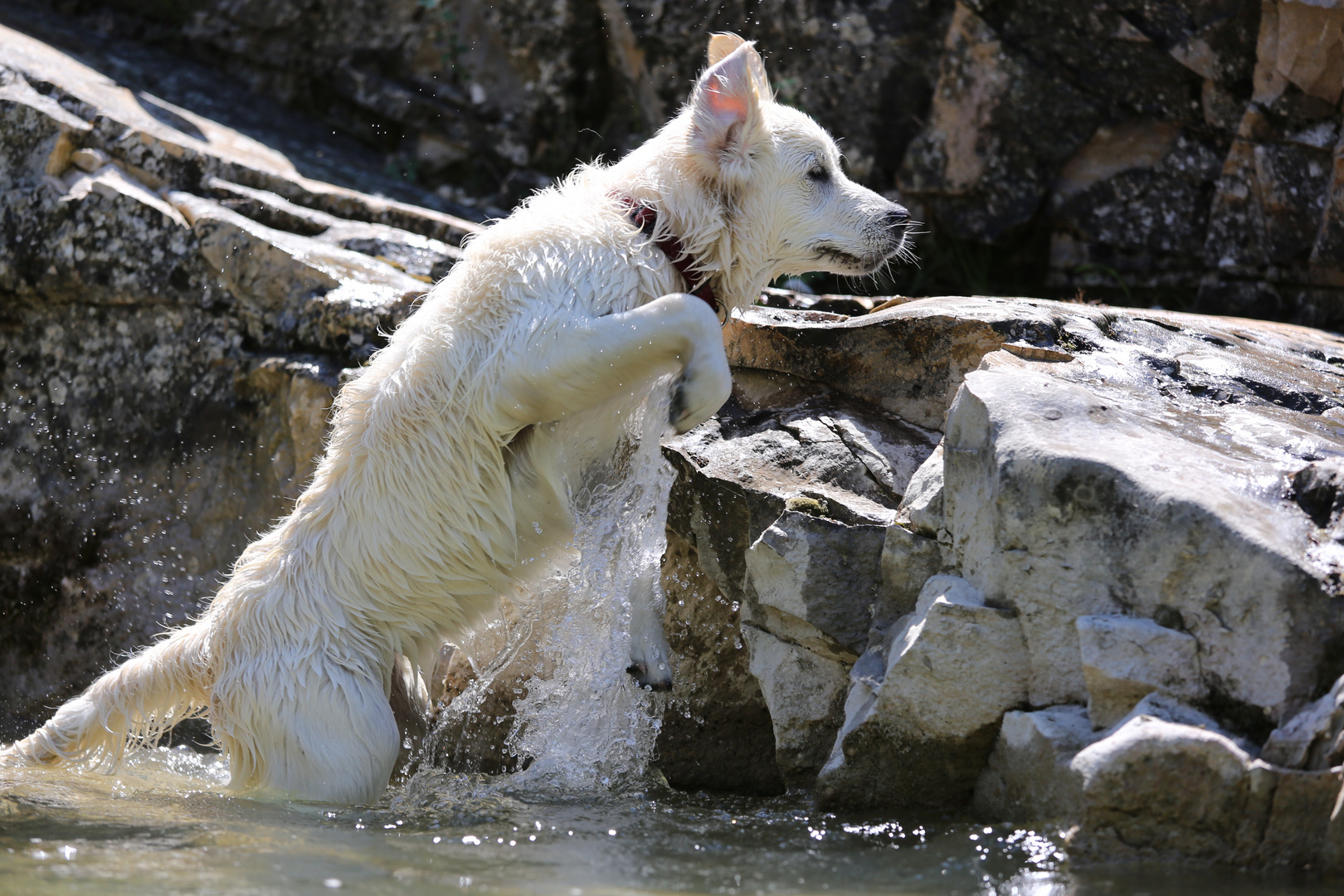 Out of the Water