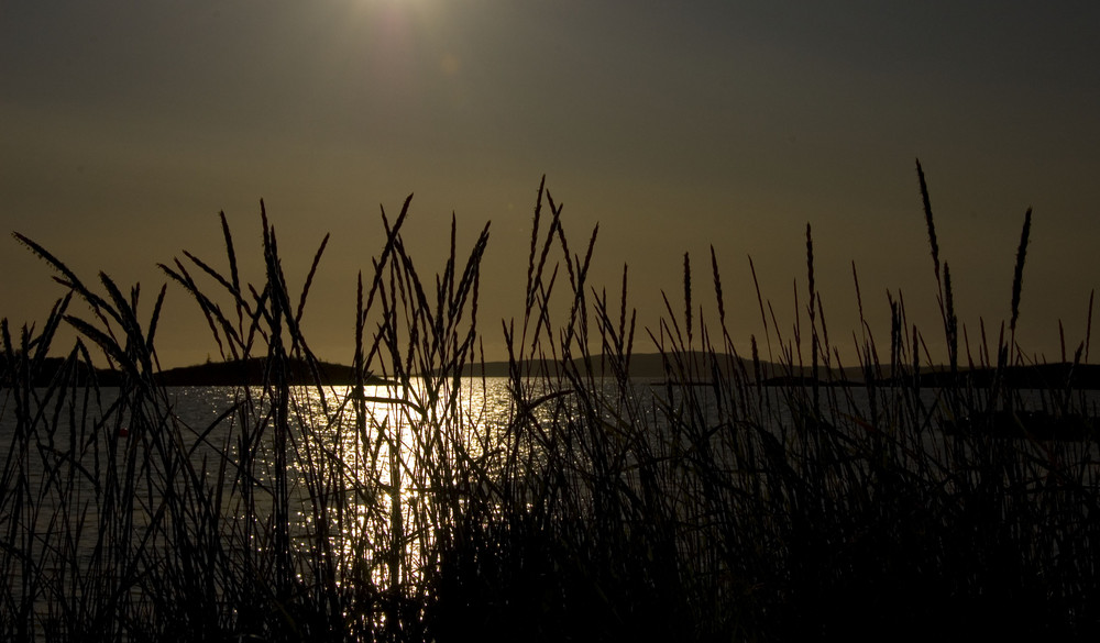 Out towards the sea.