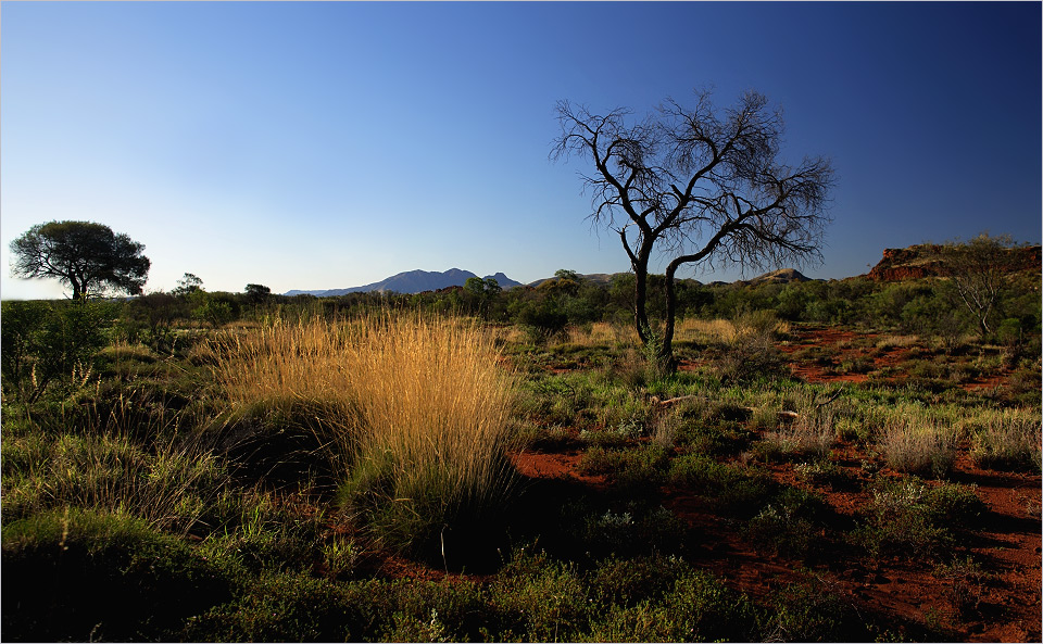 Outback