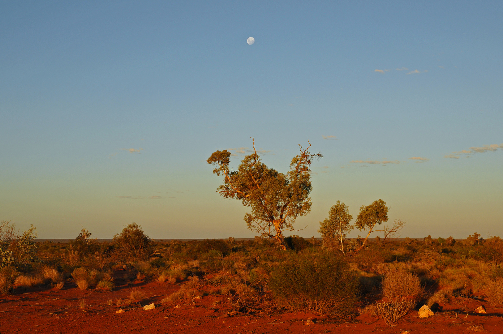 Outback at Night