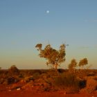 Outback at Night