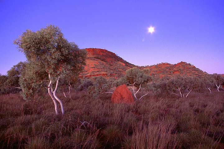 Outback - Karinjini, Westaustralien