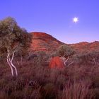 Outback - Karinjini, Westaustralien