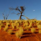 Outback mit Wolke