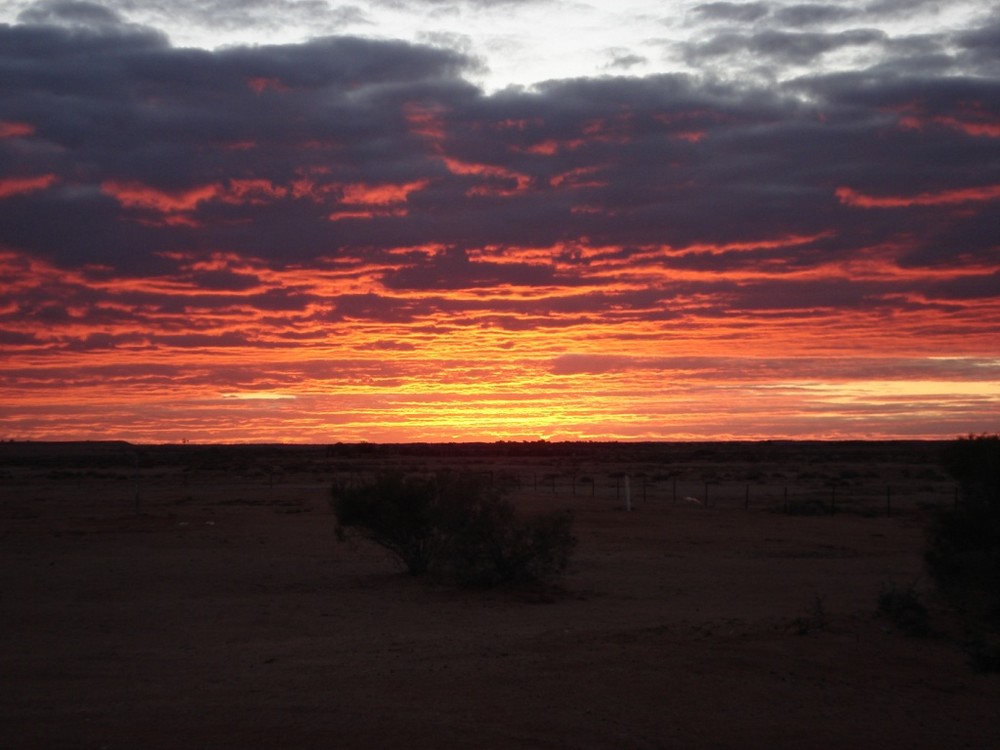 Outback Sunlight