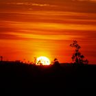 outback sunset - 2