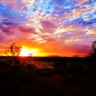 Outback sunset Australien