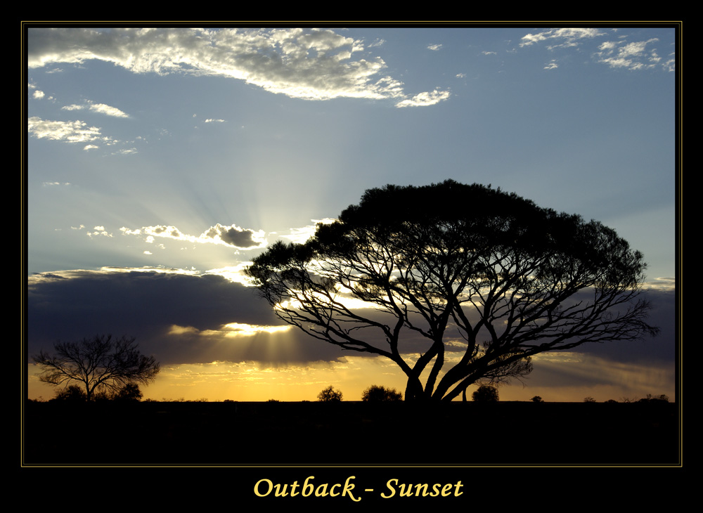 Outback-Sunset with Tree