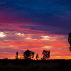 Outback Twilight