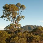 Outback Western Australia