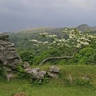 Outcrop near Down Tor