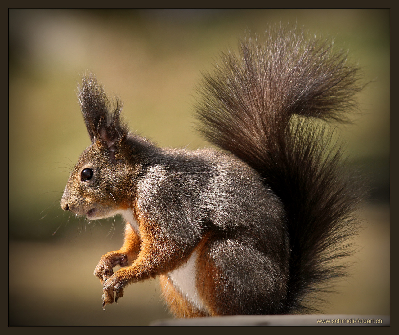 Outdoor-Fotoshooting