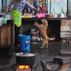 Outdoor kitchen