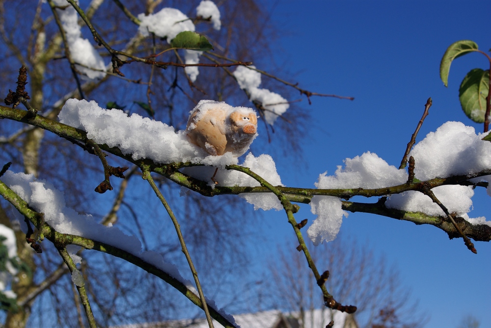 Outdoor offcloth shooting inthetreewhenwinterhascome mit S(a)usi**,