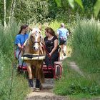 Outdoor Trail