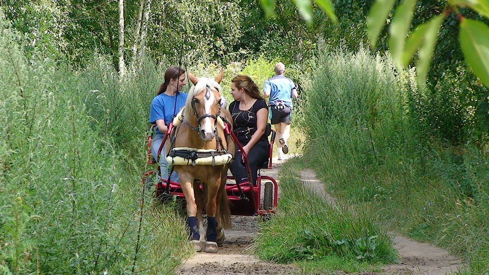 Outdoor Trail