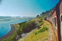 Outeniqua Choo-Tjoe