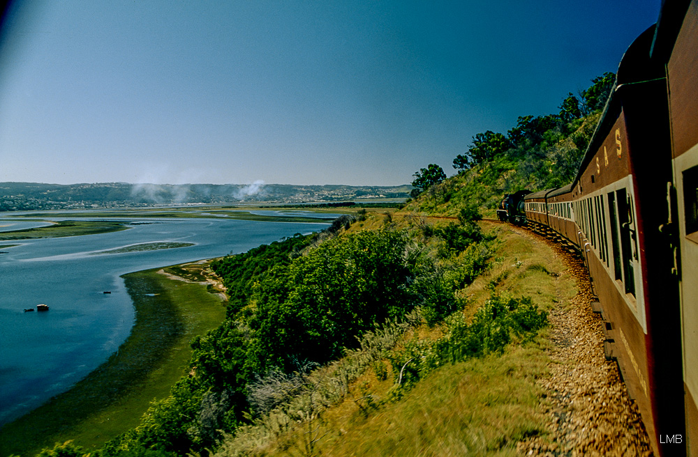 Outeniqua Choo-Tjoe