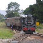 Outeniqua Choo-Tjoe-Express im Bahnhof Sedgefield, Südafrika