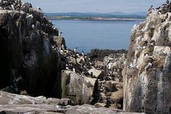 Outer Farnes