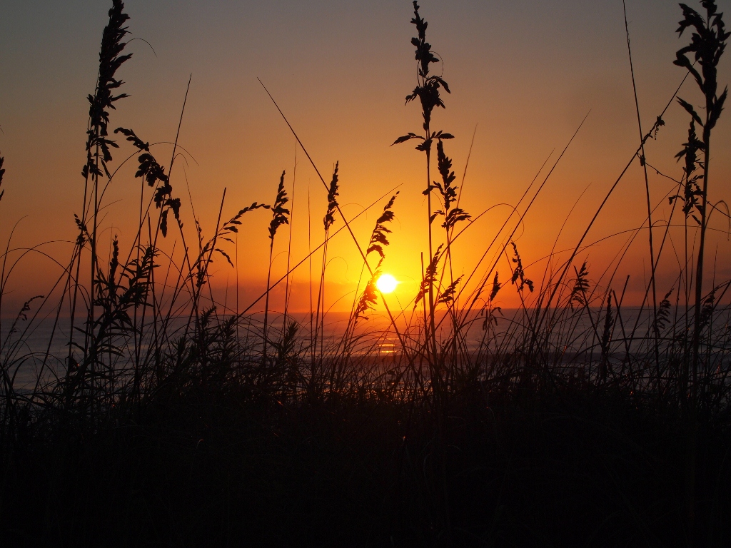 Outerbanks Sunrise