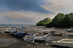 Outrigger boats stranded on low tide